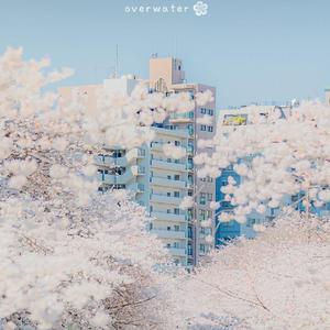 冬天的秘密（翻自 张家旺）