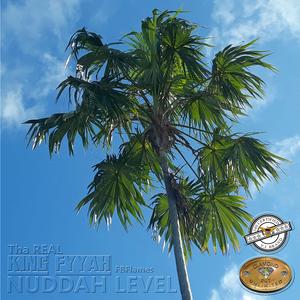 Nuddah Level (Radio Edit Instrumental)