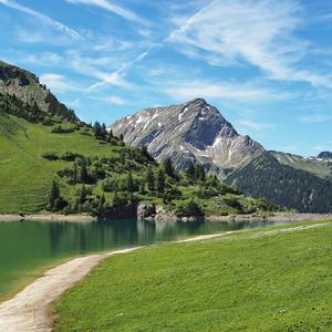 泡一壶好茶（琴音）