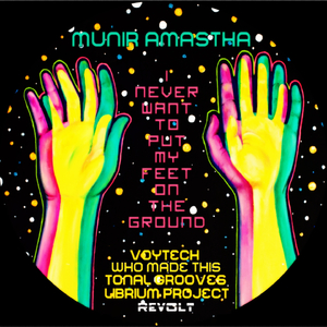I Never Want to Put My Feet on the Ground (Who Made This Remix)