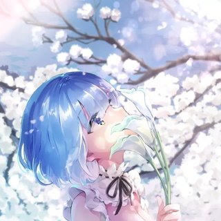 『2020年7月新番』OP&ED持续更新中！
