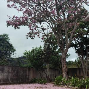 Paz Interior (Instrumental)