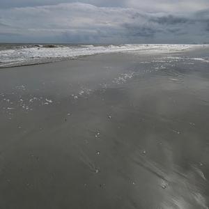 Ocean Breeze (Finally Free)