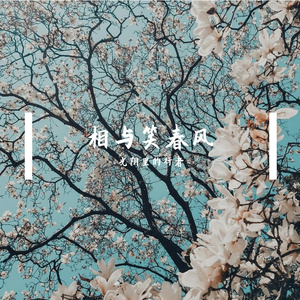 桃花依旧笑春风