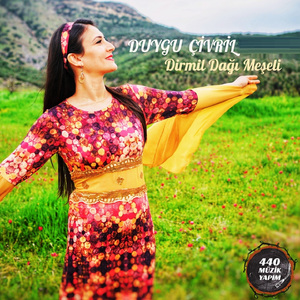 Dirmil Dağı Meşeli