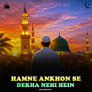 Hamne Ankon Se Dekha Nehi Hain
