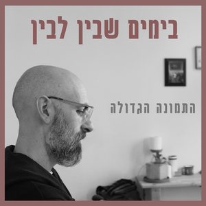 בימים שבין לבין