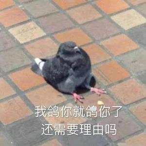 万树犹