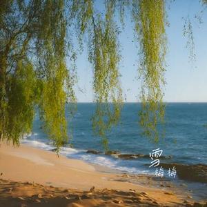 谁动了我的琴弦 (Cover 周笔畅)