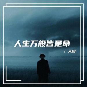 人生万般皆是命