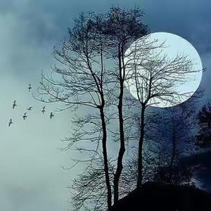 青玉案.元夕（国语）