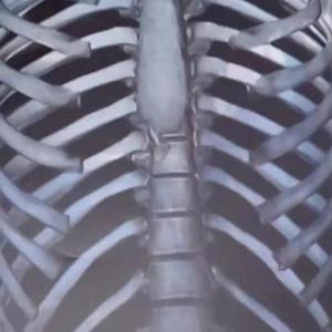 2020让一切都变得很美吧 公主我想你