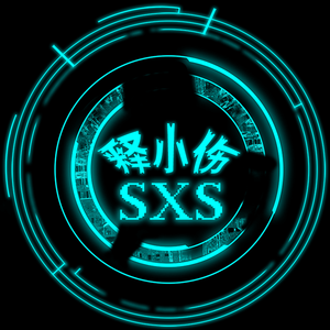 释小伤sxs-电子舞曲（释小伤sxs remix）