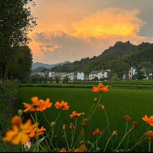 晨曦中的爱意沉溺