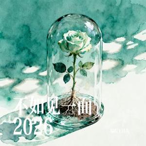 不如见一面2026