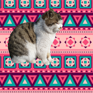 王美丽只想做自己