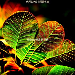 有趣水疗日情怀