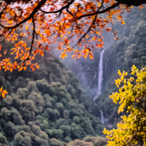 ஏஜென்ட்