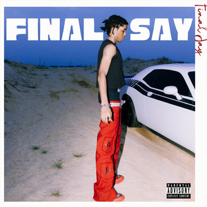 Final Say
