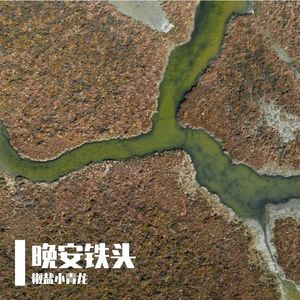 晚安铁头.mp3 伴奏