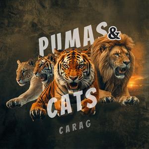 Pumas & Cats