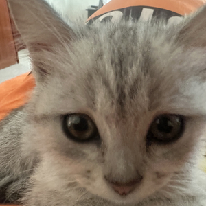 眼泪是香槟 敬我的伤心