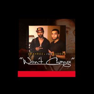 Won't Change (feat. Joe Budden)
