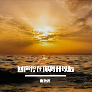 回声停在你离开以后