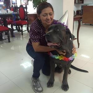 Muñeco