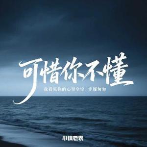 可惜你不懂 (RNB版)