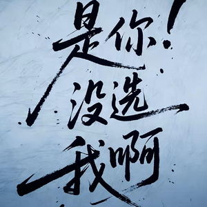 是你没选我啊（撕裂版）