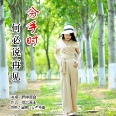 分手时何必说再见