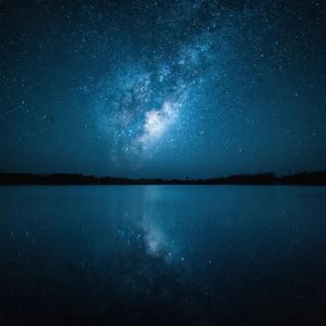 残花落尽心无痕