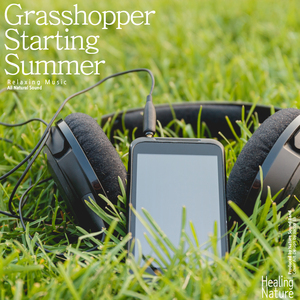 풀벌레들이 노래하는 숲 (ASMR, 요가, 명상, 수면, 태교, 긴장완화)