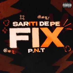 SARITI DE PE FIX