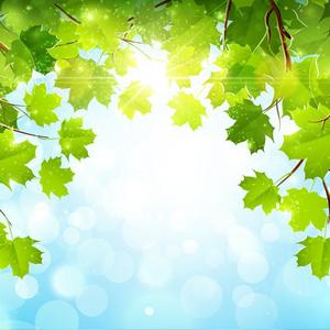 don't let your light hurts me