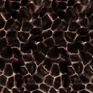 常使儒人泪满襟