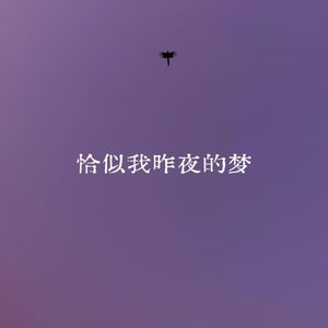 恰似我昨夜的梦