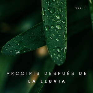 Lluvia De Adivinación