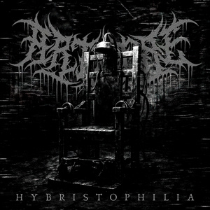 Hybristophilia