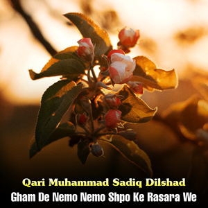 Gham De Nemo Nemo Shpo Ke Rasara We