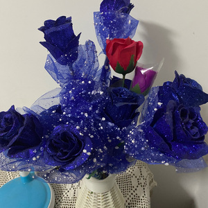 向往的世界（翻唱 小美人鱼）