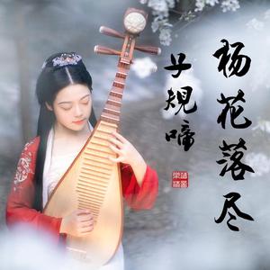 【琵琶】杨花落尽子规啼-乐落清音版（翻自 黄诗扶）