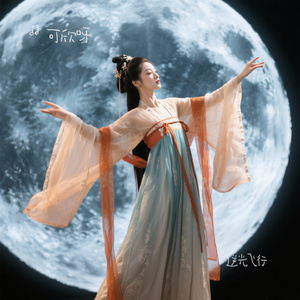 逆光飞行