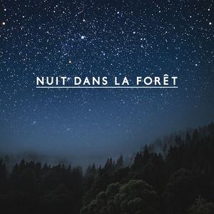 Sons de la nature pour dormir