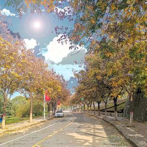 初愿（piano solo ver）