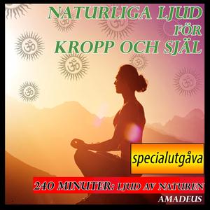 Lägereld i en skog vid midnatt: naturliga ljud