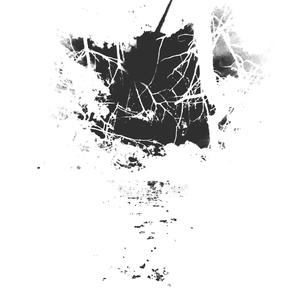 kill two birds with one stone