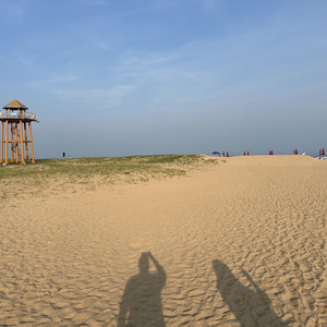 夜晚街道的车流