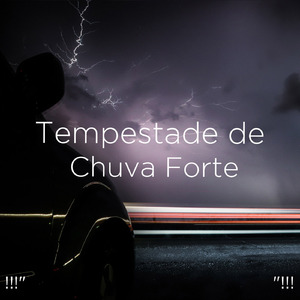 호우 잠